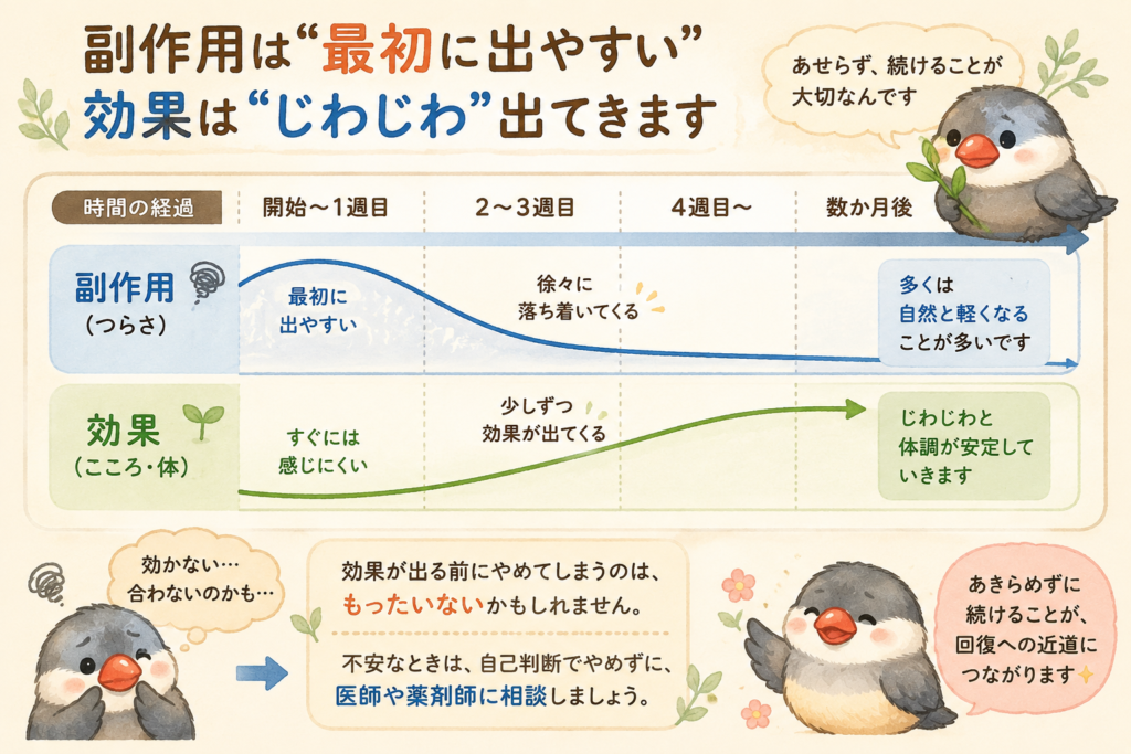 抗うつ薬の副作用と効果が表れるタイミング
